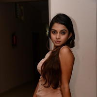 Sheena Shahabadi at Nuvve Naa Bangaram First Look Release Photos | Picture 599594